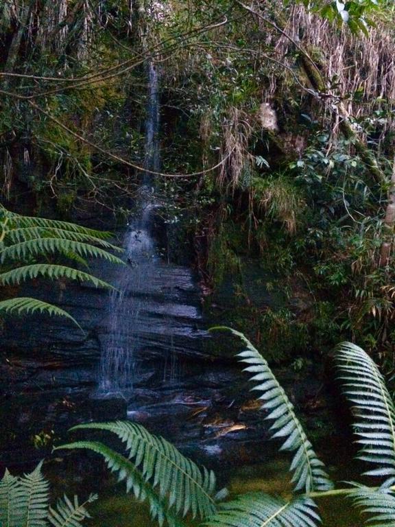 Pousada Serra Verde Joaquim Messias エクステリア 写真