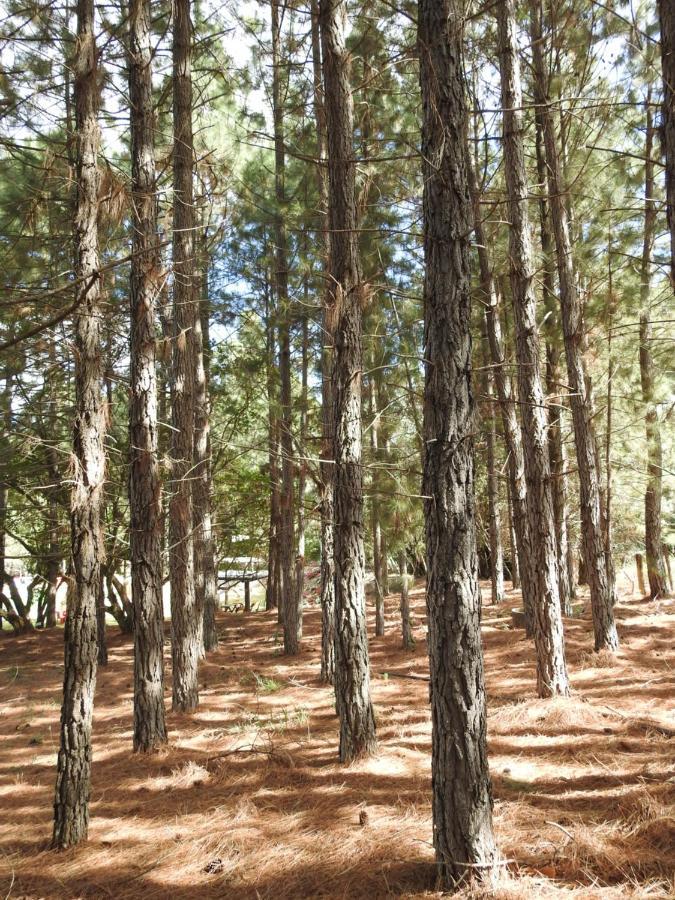 Pousada Serra Verde Joaquim Messias エクステリア 写真